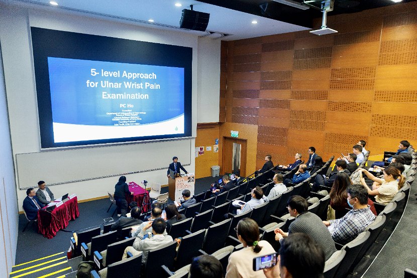 HK Wrist Course 2024- Seminar  - 203 of 257